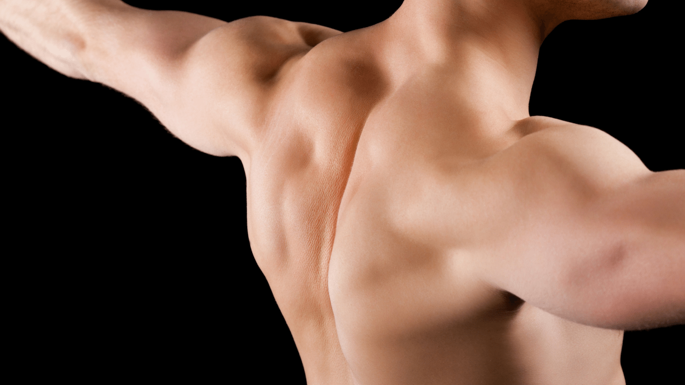 lean muscular shoulders