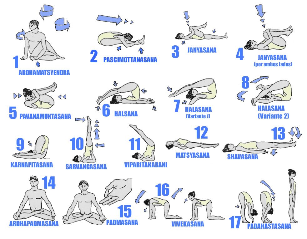 hatha-yoga-poses