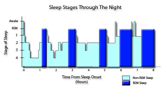 five-stages-of-sleep-through-the-night