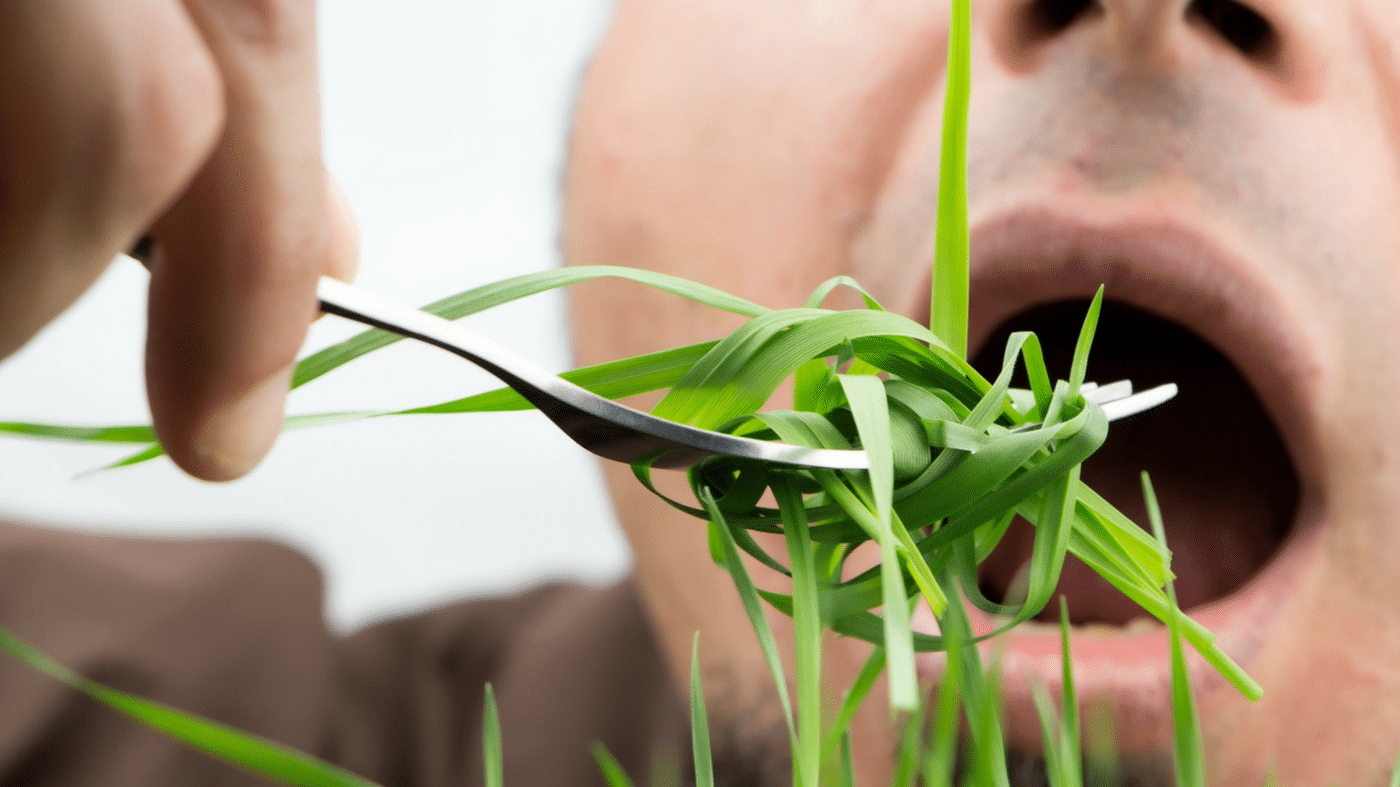 #281: Are Weeds Healthy To Eat, MCT Oil Allergies, Resistance Bands vs