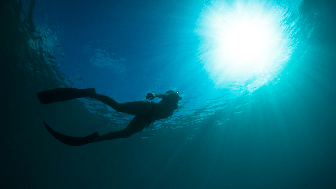 San Francisco - Freediving