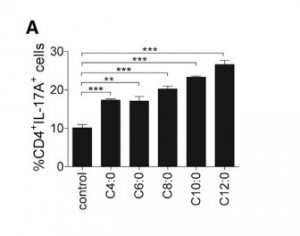 In this figure, naïve T cells were dosed with C4:0 = butyric acid, C6:0 = caproic acid, C8:0 = caprylic acid, C10:0 = capric acid, and C12:0 = LA, and the number of Th17 cells, marked by surface protein CD4 and production of IL-17, were quantified.