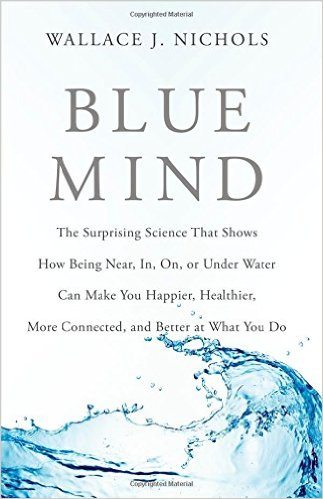 blue mind