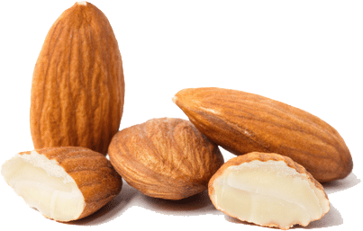 kion-bar-almonds