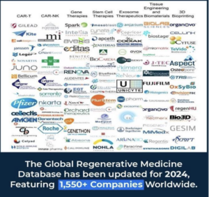 regenerative medicine