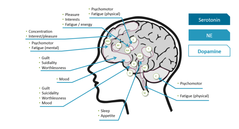 Focus Improvement Exercises: Movement for Better Attention and ...