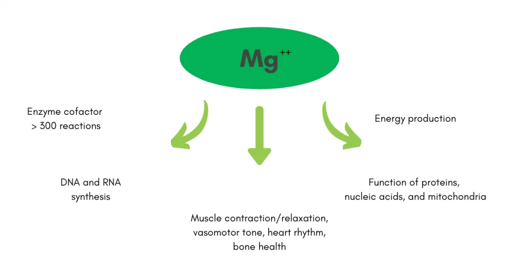 magnesium