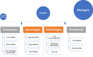 peptides study