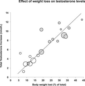 Study on testosterone