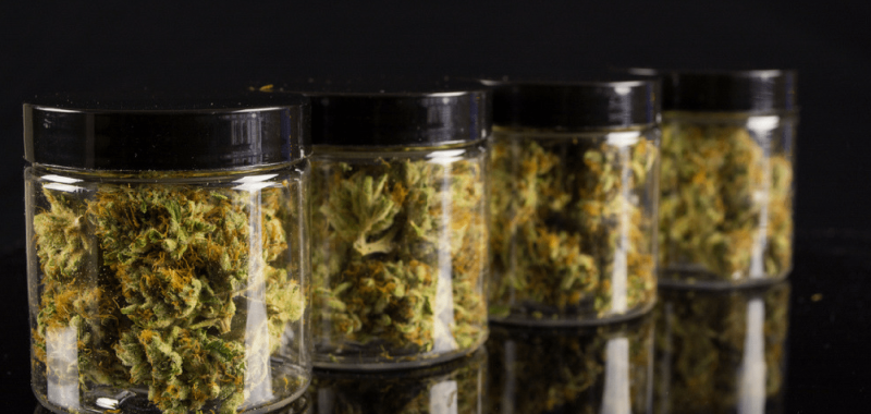 5 Reasons You Get Burnt Out From Exercise, 10 Natural Alternatives To Common Medications, The Latest News On Cannabis Health Effects