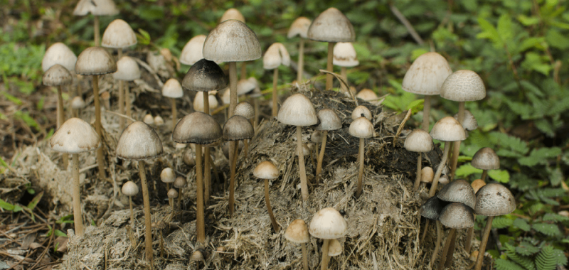 BGF Blog Featured Image