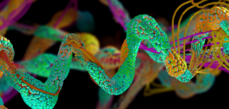 Christoph Burgstedt/Shutterstock