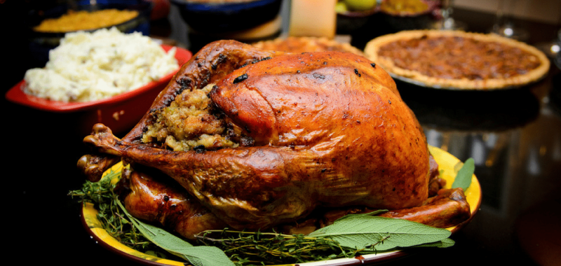 Help Ben Create the Official Thanksgiving Fitness Survival Guide