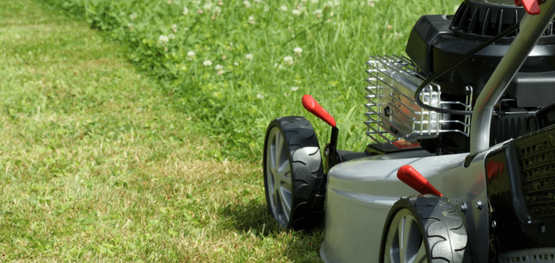 How To Quit Mowing Your Lawn & 10 More Top Time-Saving & Productivity Tips