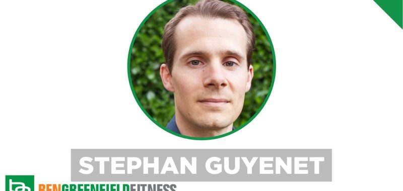 Stephan Guyenet - Landscape