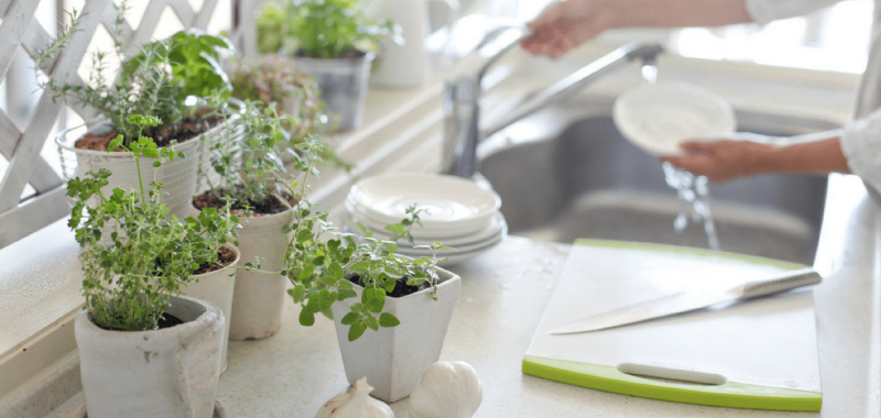 Top 12 Wellness Prediction