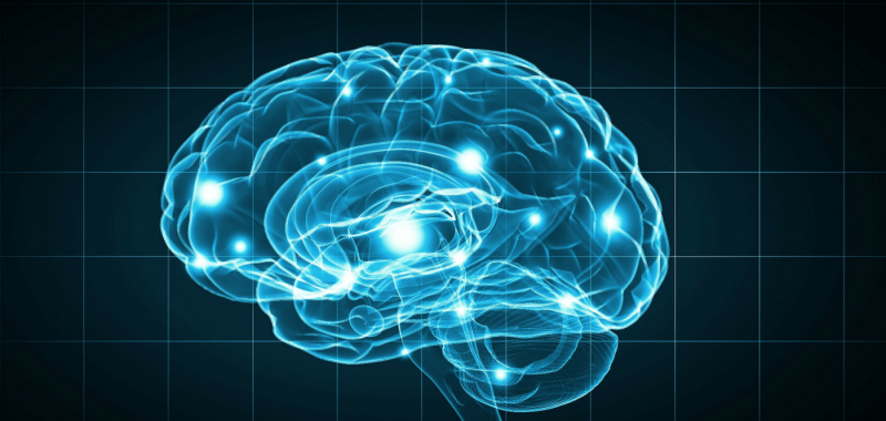 brain power