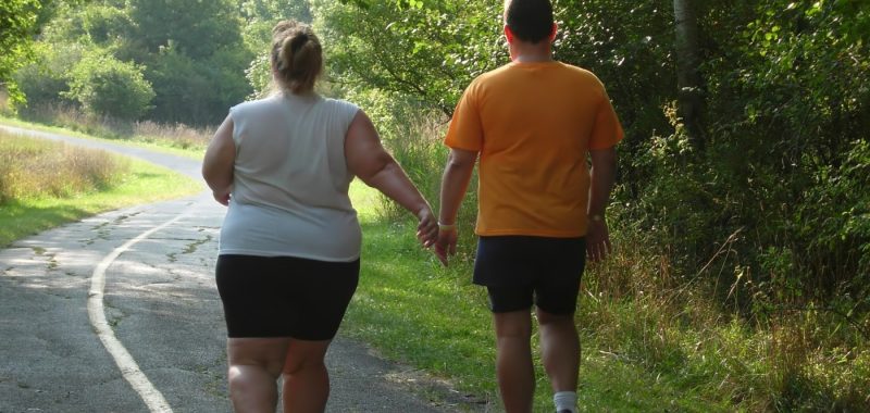 shrinking fat cells