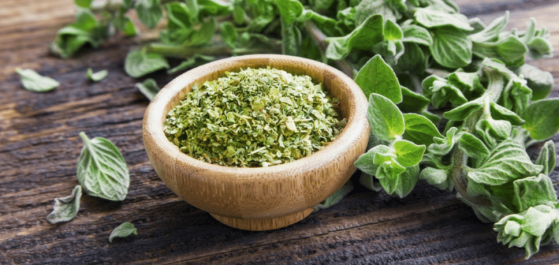 oregano