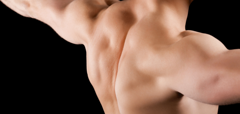 shoulders