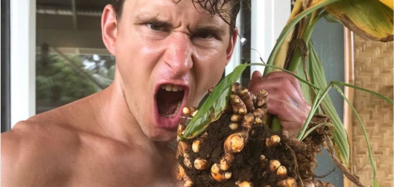 turmeric vs curcumin